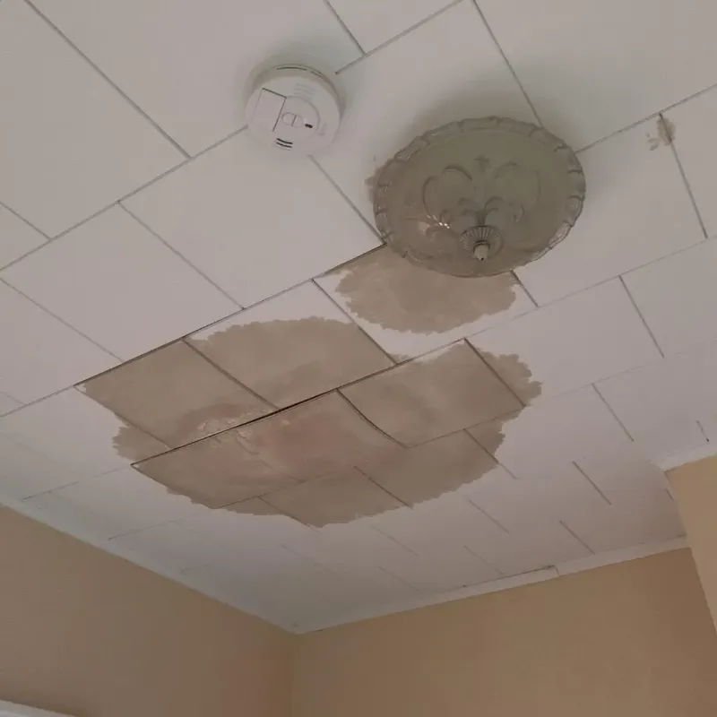 Ceiling Water Damage Repair in Menard, TX