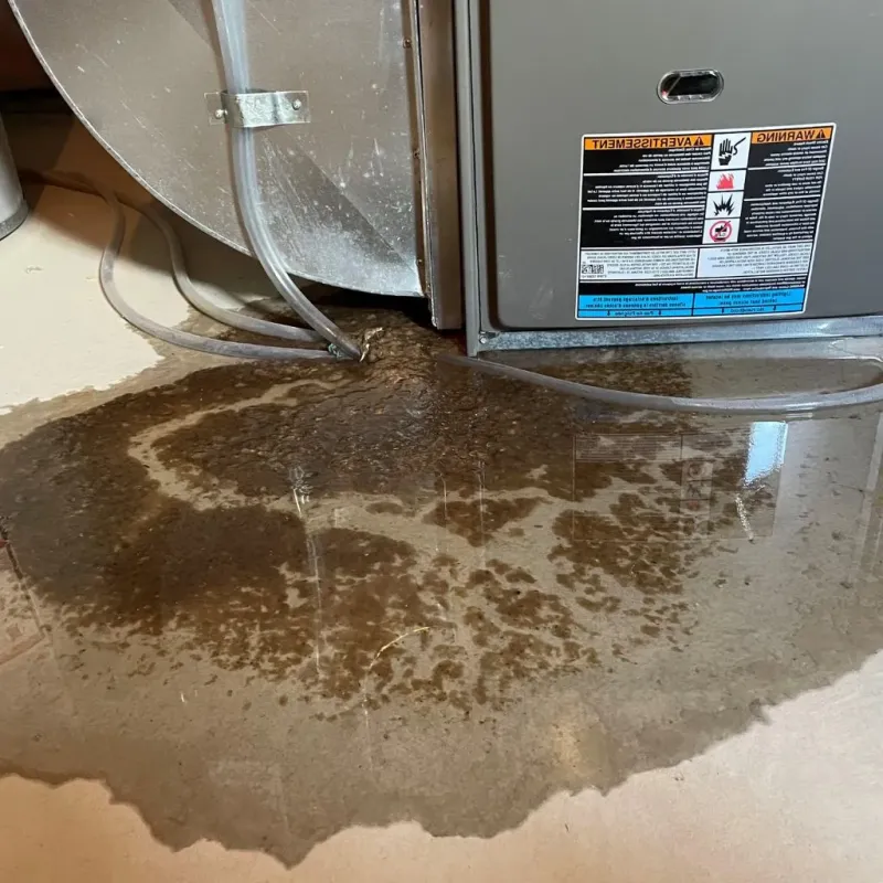 Pipe Burst and Leak Restoration in Menard, TX