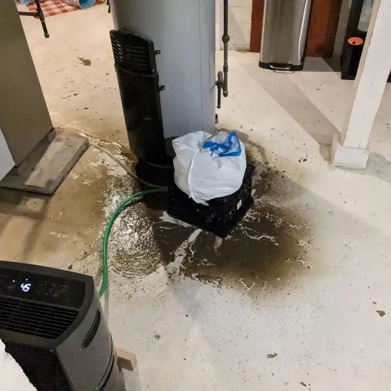 Sewage Backup Cleanup Service in Menard, TX